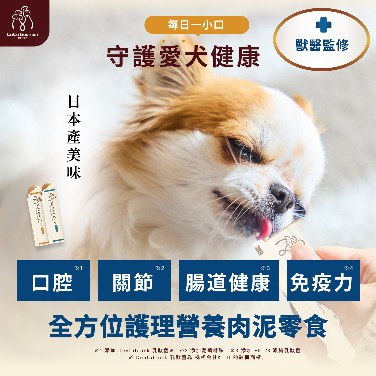 CoCo Gourmet Puree