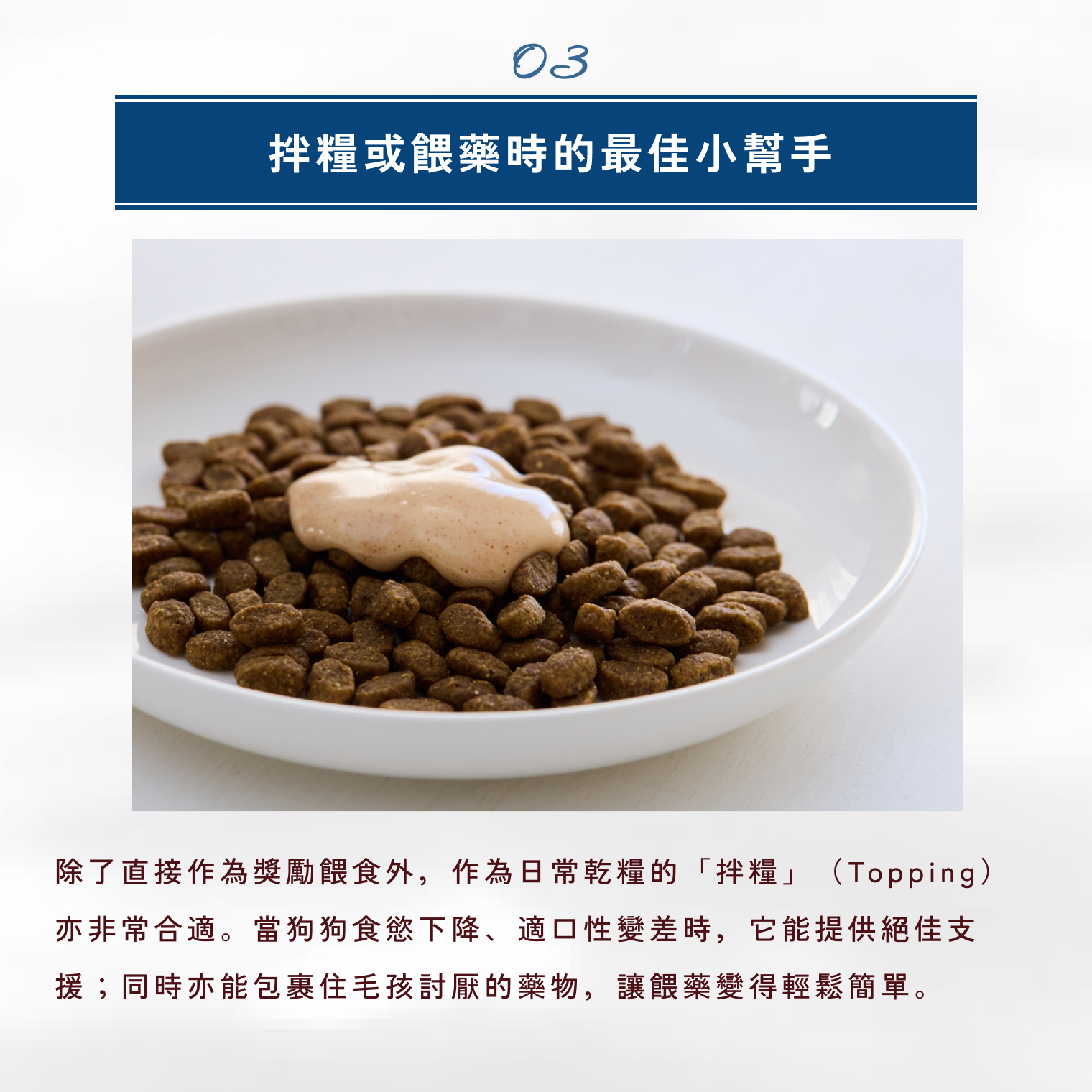 CoCo Gourmet Puree